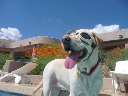 Maddie getting ready to swim Maddie ge
