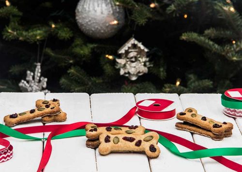 calvins-christmas-cookie-dog-treat