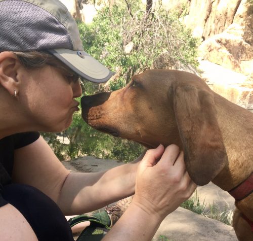 hiking with dog near Prescott