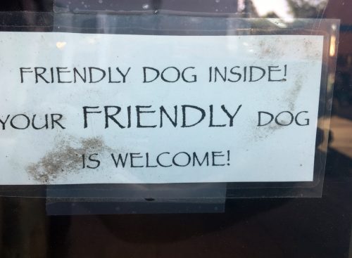 dog friendly flagstaff