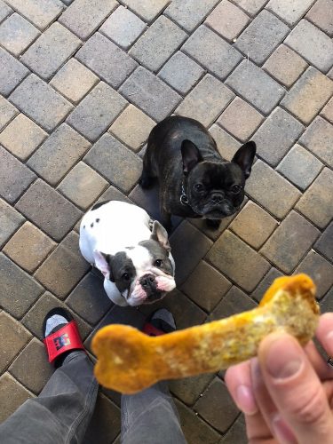 peter and pickle love christmas cookies