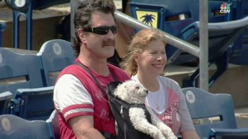 dog at spring training game