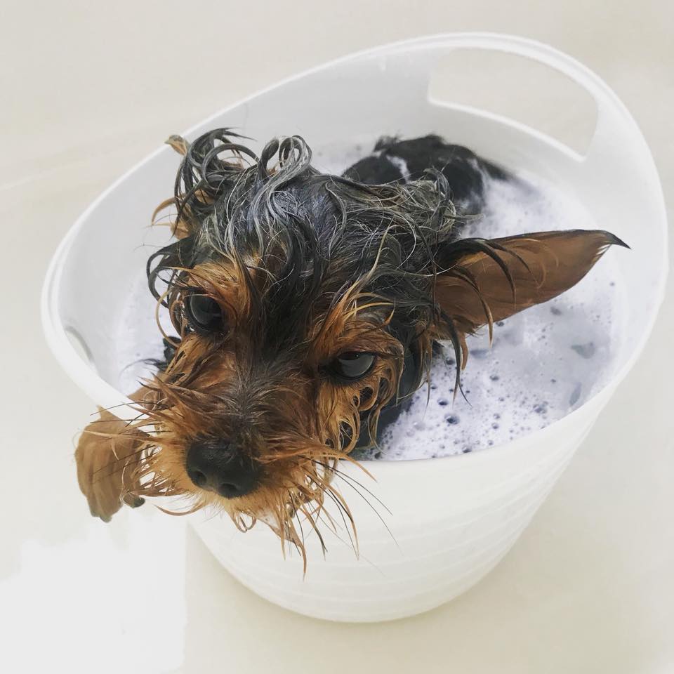 Indoor swimming (aka bath)