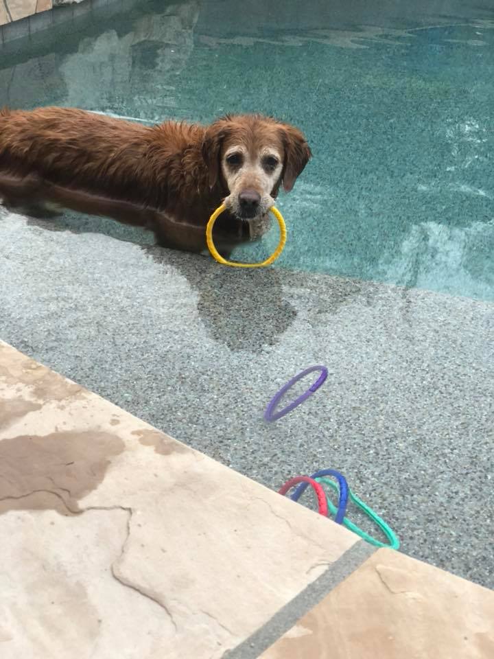 Lucy keeping cool in Phoenix heat