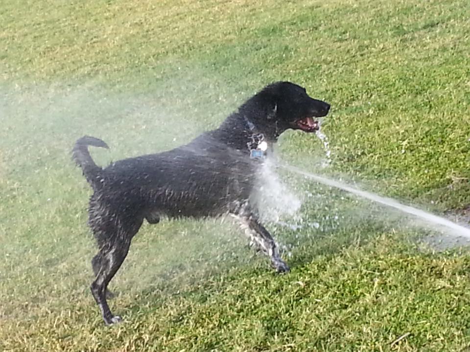 how to keep cool in phoenix summer