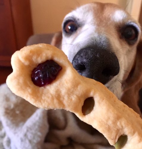 baking for dogs means delicious treats 
