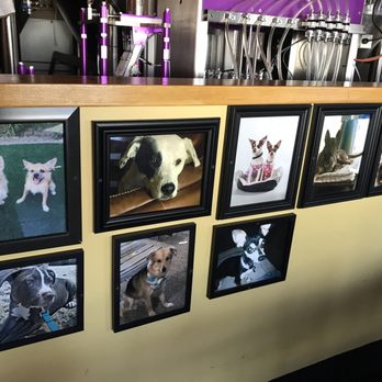 Dog-friendly: Uncle Bears in Chandler