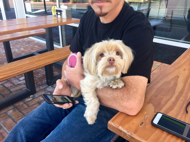 Dog-friendly: Hopdaddy in Phoenix