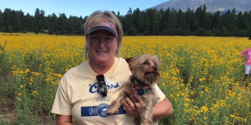 dog amid the flagstaff sunflowers